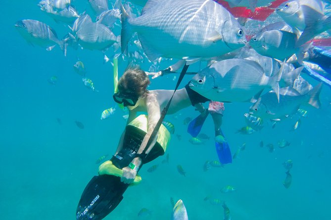 Los Cabos Sea Adventure: Snorkeling, Kayaking and Stand-Up Paddleboarding