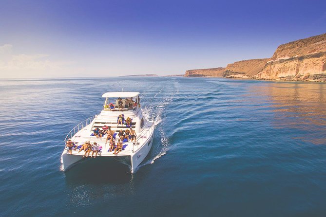 Los Cabos Sea of Cortez Sightseeing Cruise and Snorkeling Tour - Cabo San Lucas