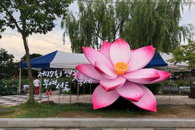 Lotus Festival in Buyeo and Jeonju Hanok Village Tour From Seoul - Good To Know