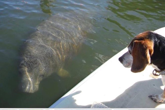 25 Best Tours In Fort Myers