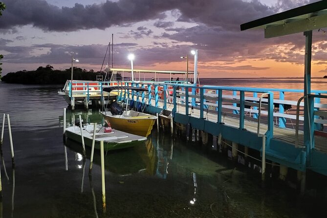 Luminous One Puerto Rico: Bio Bay Boat Ride With Swimming