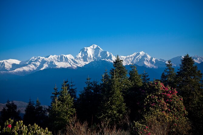 Luxury Ghorepani Poonhill Trek - 10 Days - Good To Know