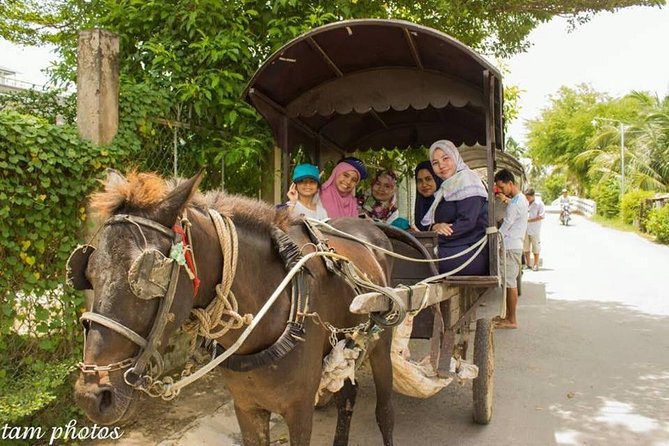 Luxury Mekong Delta Muslim Tour in a Day - Overview of the Mekong Delta Muslim Tour