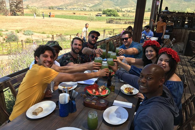 Luxury Private Wine Tasting Tour to Guadalupe Valley From San Diego - Good To Know