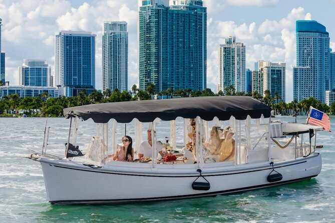 Luxury Shared E-Boat Cruise With Wine and Charcuterie Board