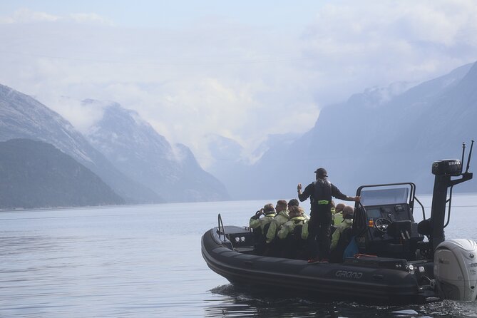 3 Best Safari Tours In Stavanger