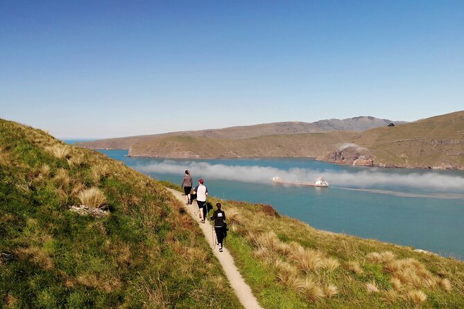 Lyttelton Shore Excursion - Guided Walking Tour and Picnic