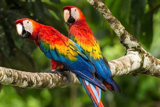 3 Best Full-Day Tours In Puerto Maldonado