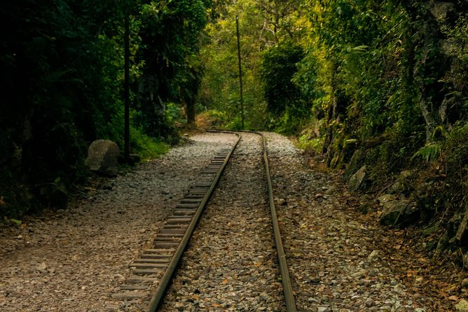 Machu Picchu Trips One Day Tour With Inca Rail Train From Cusco - Full-Day Trip to Machu Picchu