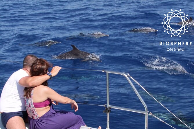 Madeira by Jeep: Cabo Girão and Dolphin Watching From Funchal - Itinerary Details