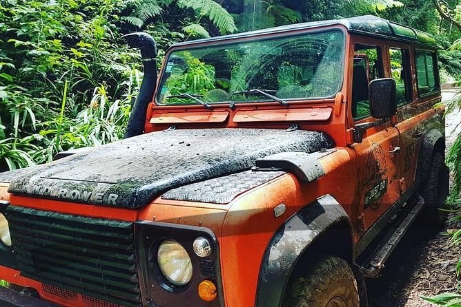 Madeira Jeep 4x4: Old Forest Full-Day Tour Incl Pico Arieiro - Tour Details and Highlights