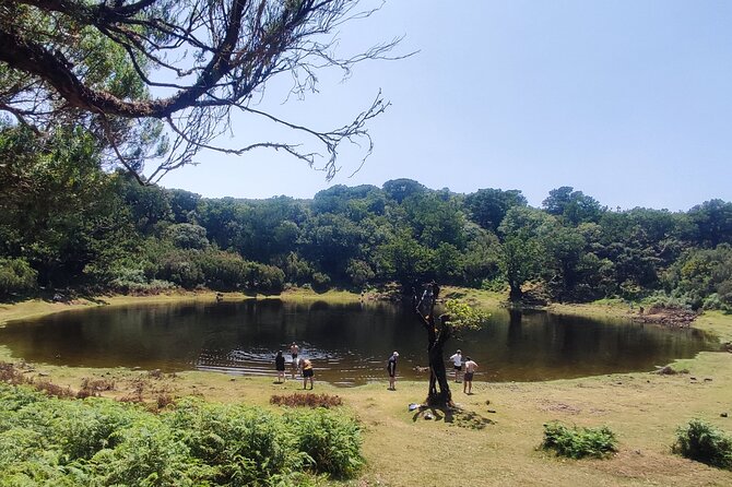 Madeira "Mystery Tour" Full-Day - Private 4x4 Jeep - Tour Details