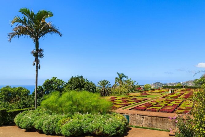 Madeira Private Tuk-Tuk Sightseeing Tour  - Funchal - Good To Know