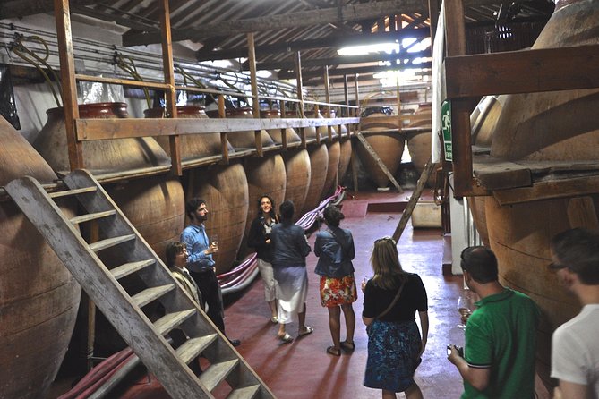 Madrid Countryside Wineries Guided Tour With Wine Tasting - Good To Know