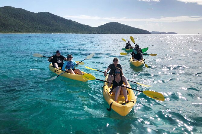Magic Mangrove Paddle in Beef Island Lagoon