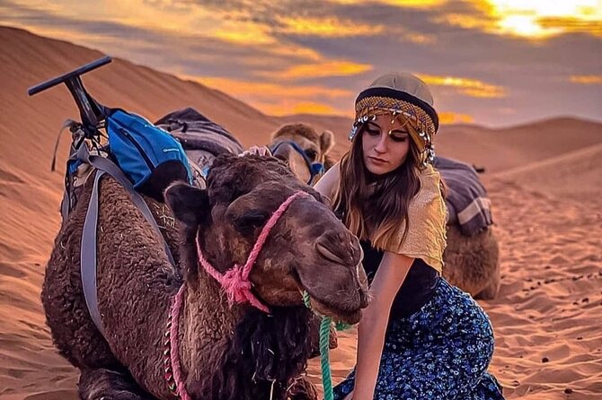 Magical Dinner With Camel Ride at Sunset in Agafay Desert - Good To Know
