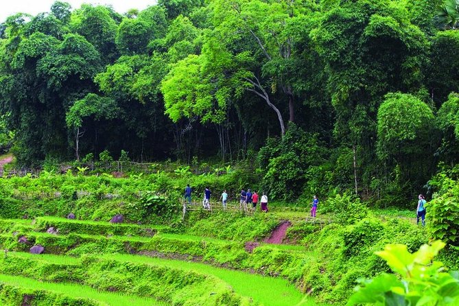 Mai Chau 1 Day Tour ! - Participant Information