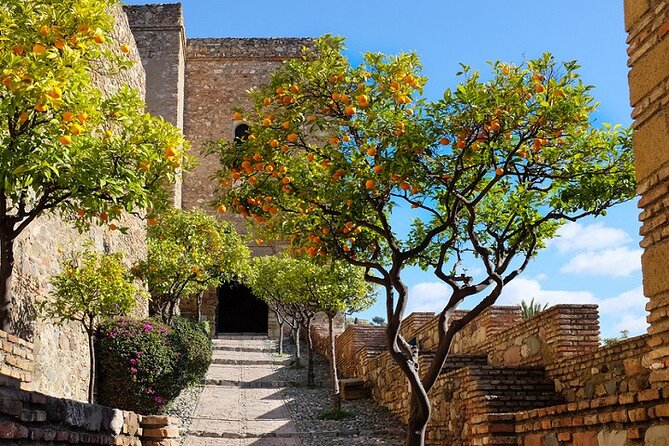 Malaga Super Tour - Hop-on, Hop-off Bus Stops