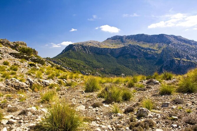 Mallorca in One Day Sightseeing Tour With Boat Ride and Vintage Train - Good To Know