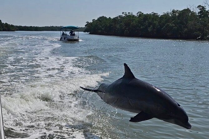 Manatee, Dolphin, and 10,000 Islands Eco Beach Tour by Boat - Good To Know