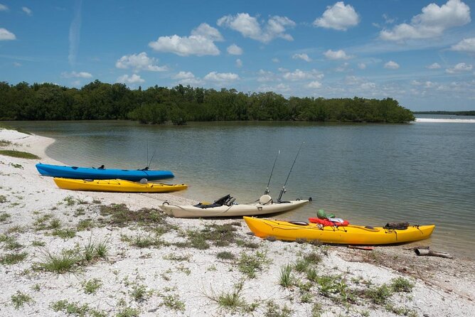 Manatees and Mangrove Tunnels Small Group Kayak Tour