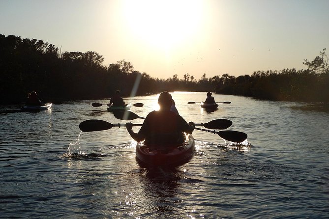 Manatees/Sunset/Bioluminescence Tour - Good To Know