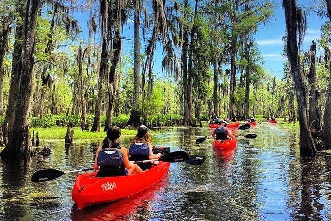 Manchac Swamp Kayak Small-Group Tour - Good To Know