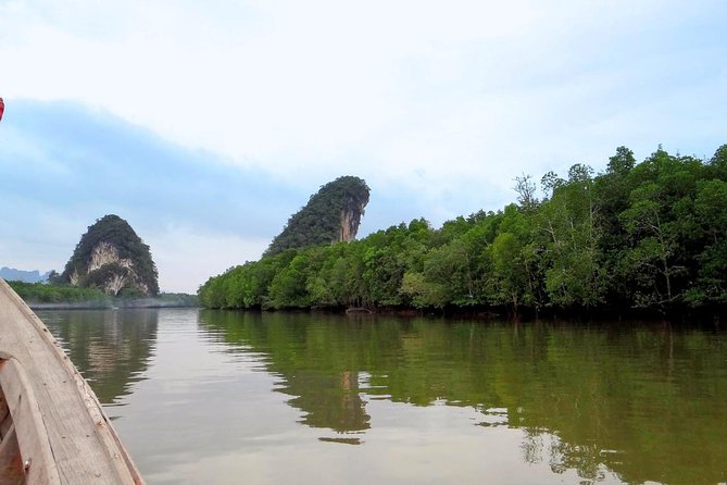 Mangrove Boat Tour in Krabi