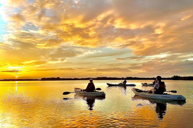 Mangrove Tunnels, Manatee, and Dolphin Sunset Kayak Tour With Fin Expeditions