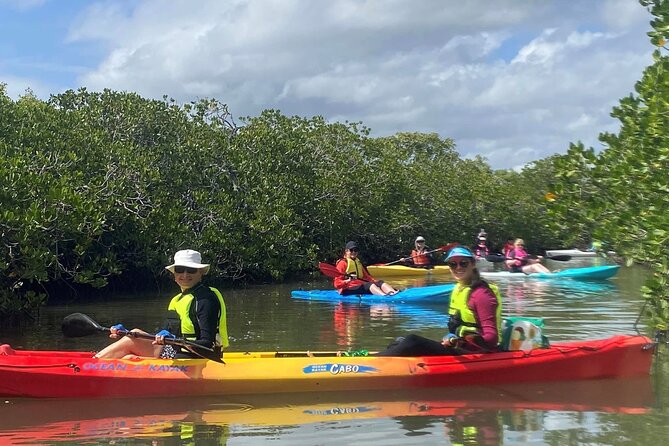 Mangroves and Mansions Guided Kayak Tour on the Noosa River