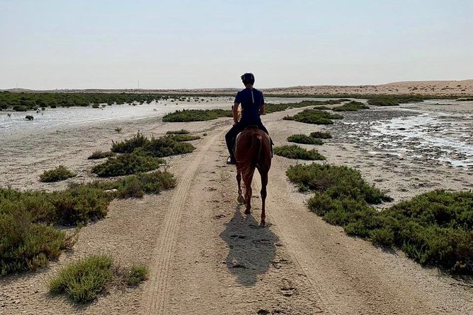 Mangroves Ride