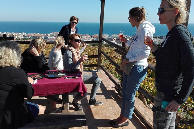 Manilva Oceanfront Wine Experience in the Marbella Area