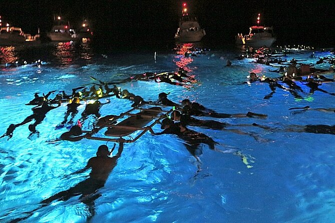 Manta Magic – Night Manta Ray Snorkel At Manta Village, Kona, Hawaii