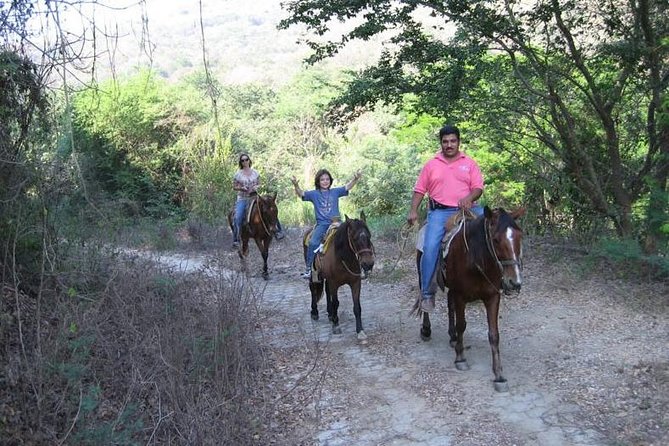 Manzanillo Small Group Horseback Riding Adventure