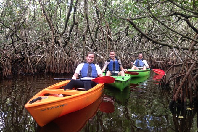 Marco Island Mangrove Tunnel and Maze Adventure Small Group Size - Good To Know