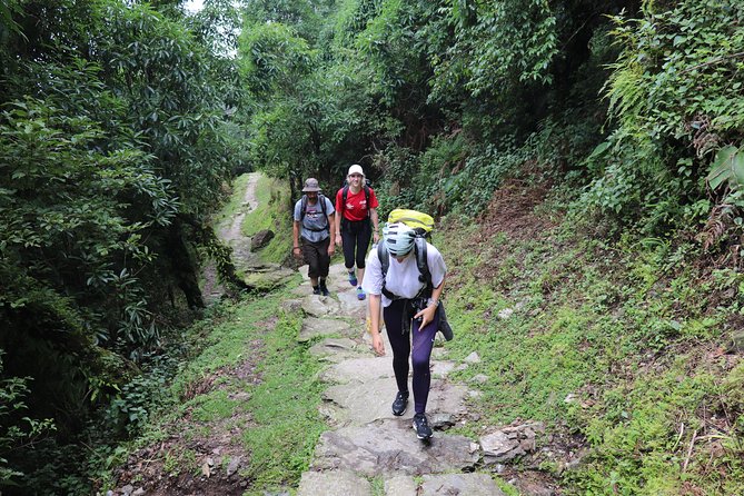 Mardi Himal Base Camp Trek (5 Days) - Good To Know