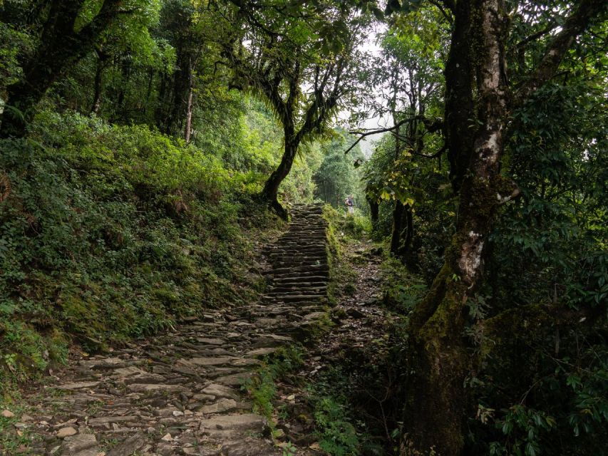 Mardi Himal Trek - 4 Days From Pokhara - Good To Know