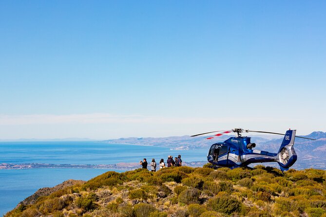 Marine Biologist Helicopter Tour: Whales and Cray Tails