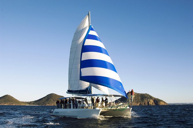 Marine Discovery Snorkeling – Port Stephens