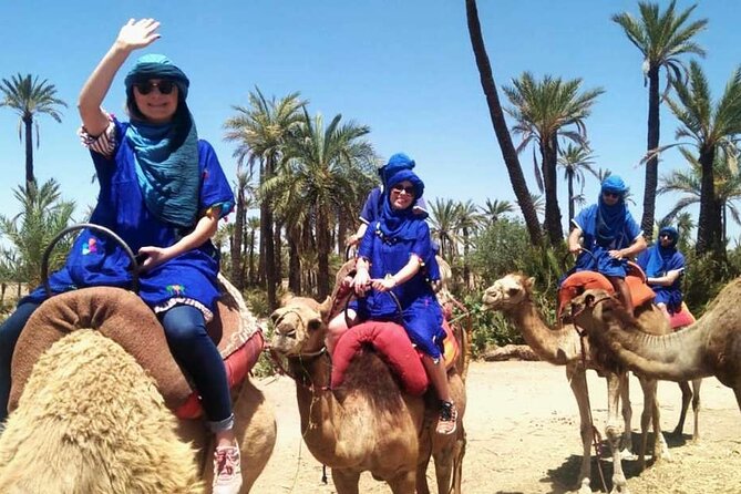 Marrakech Camel Ride in the Oasis Palmeraie - Good To Know