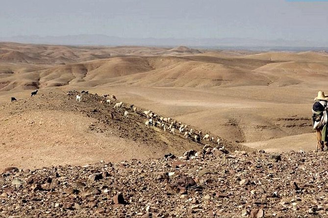 Marrakech Private Day Tour to Agafay Desert & Lake Takerkoust - Tour Highlights