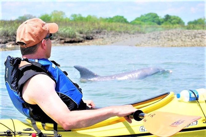 Marsh Kayaking Eco-Tour in Charleston via Small Group