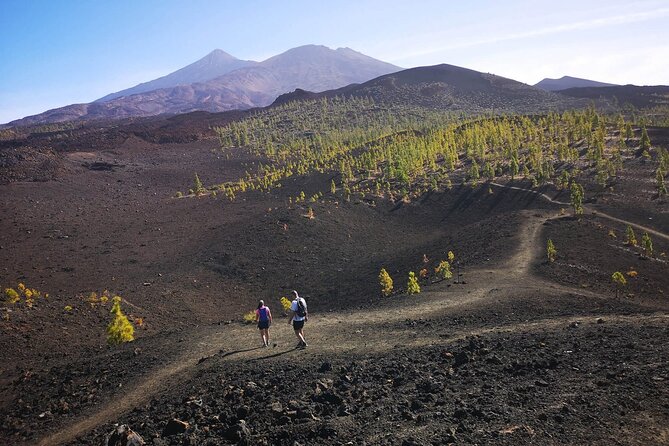 Mask - Garachico - Icod - Teide National Park - Duration and Confirmation