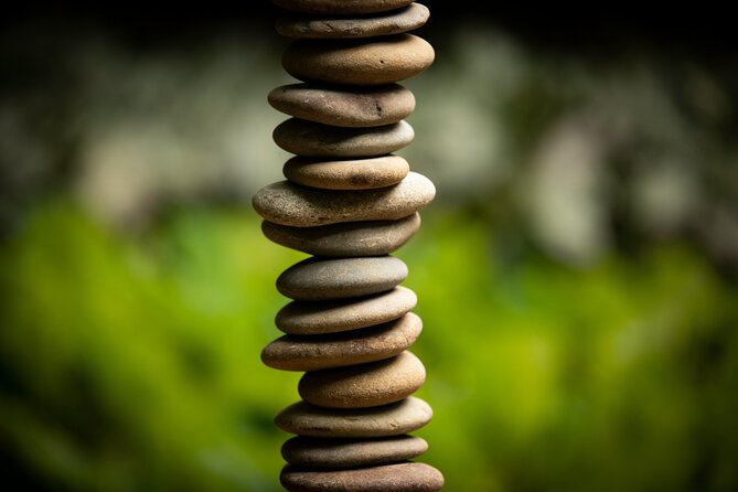 Matakana Art & Vineyard Experience Incl. Lunch & Wine Tasting Tour From Auckland - Good To Know