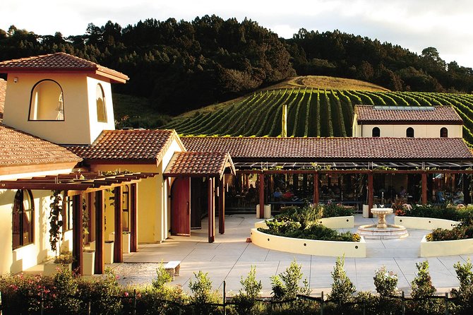 Matakana Riverside Market, Beaches and Winery Tour From Auckland