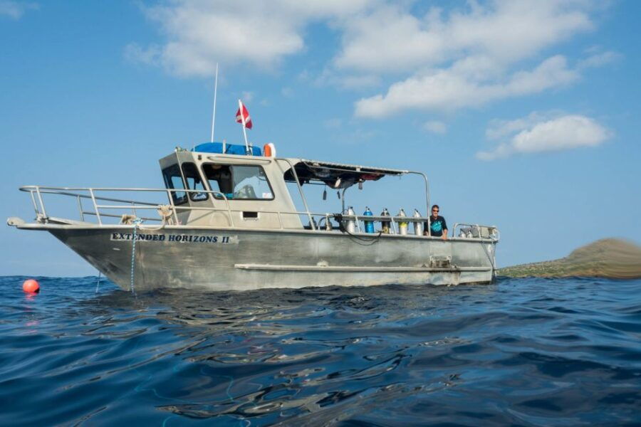 Maui: Beginner Discovery Scuba Dive Excursion From Lahaina - Good To Know