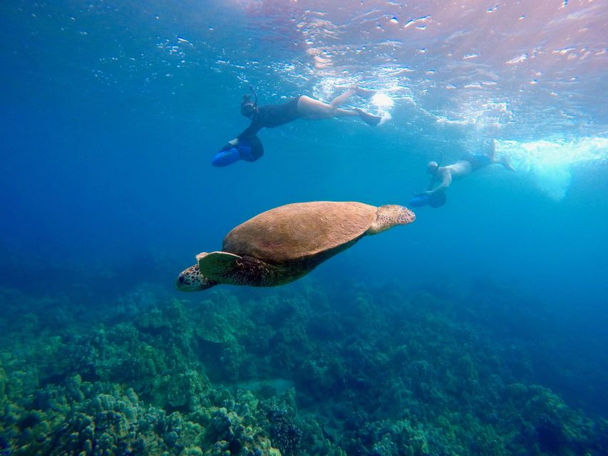 Maui: Guided Sea Scooter Snorkeling Tour - Good To Know