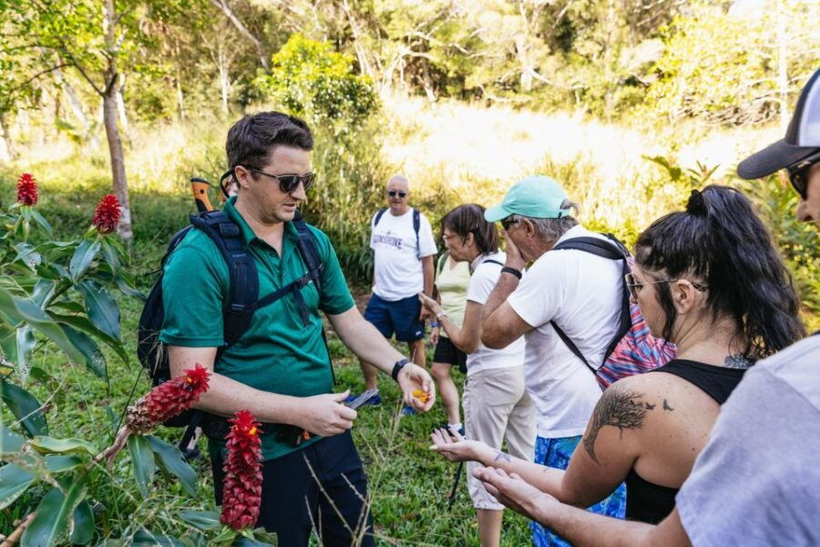 Maui: Hike to the Rainforest Waterfalls With a Picnic Lunch - Good To Know