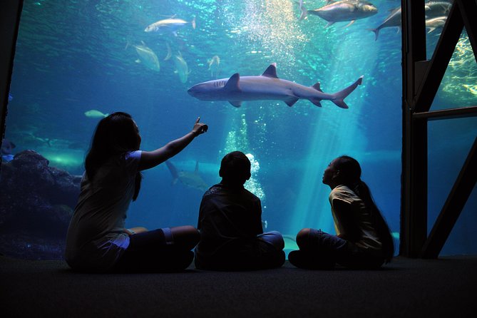 Maui Ocean Center All Day Admission Ticket - Good To Know