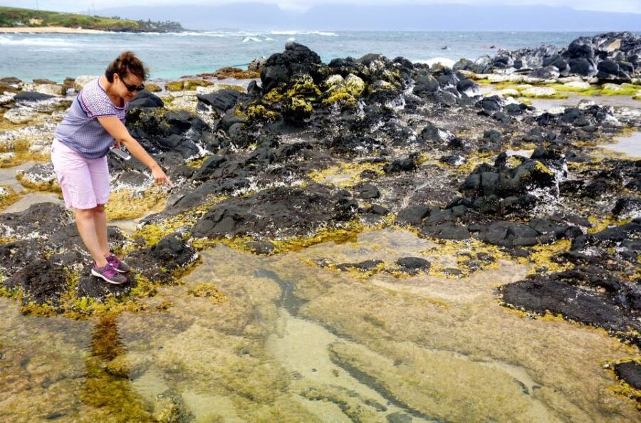 Maui: Private Guided Halfway to Hana Tour - Good To Know